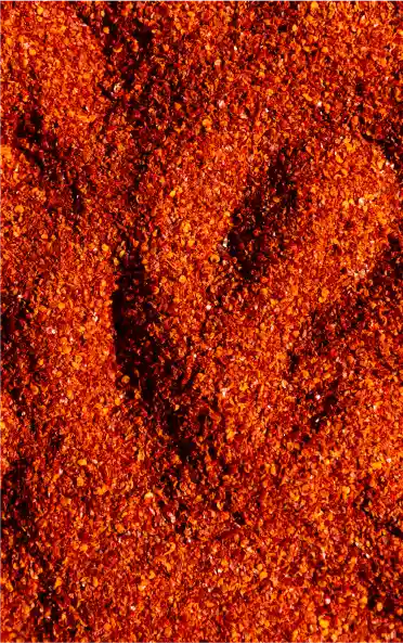 spice exports in india