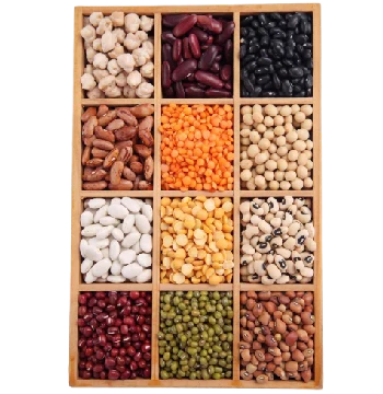 best indian agro exporters