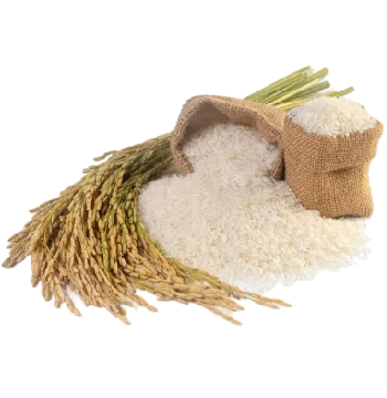 rice exporters in tamilnadu