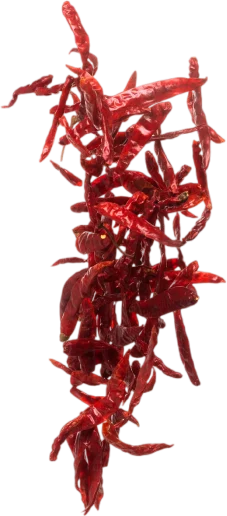 Red chillies exporters in tamilnadu